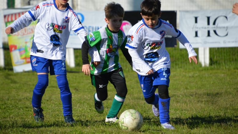Galería del Baby 2026 (11)