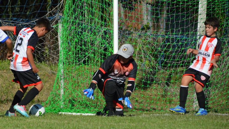 Cerca de cumplir el 50% del fixture