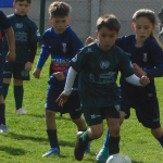 Fase regular cumplida al 50%