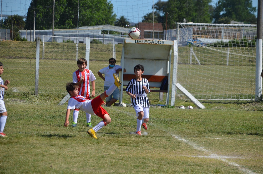 Está el fixture en el baby fútbol