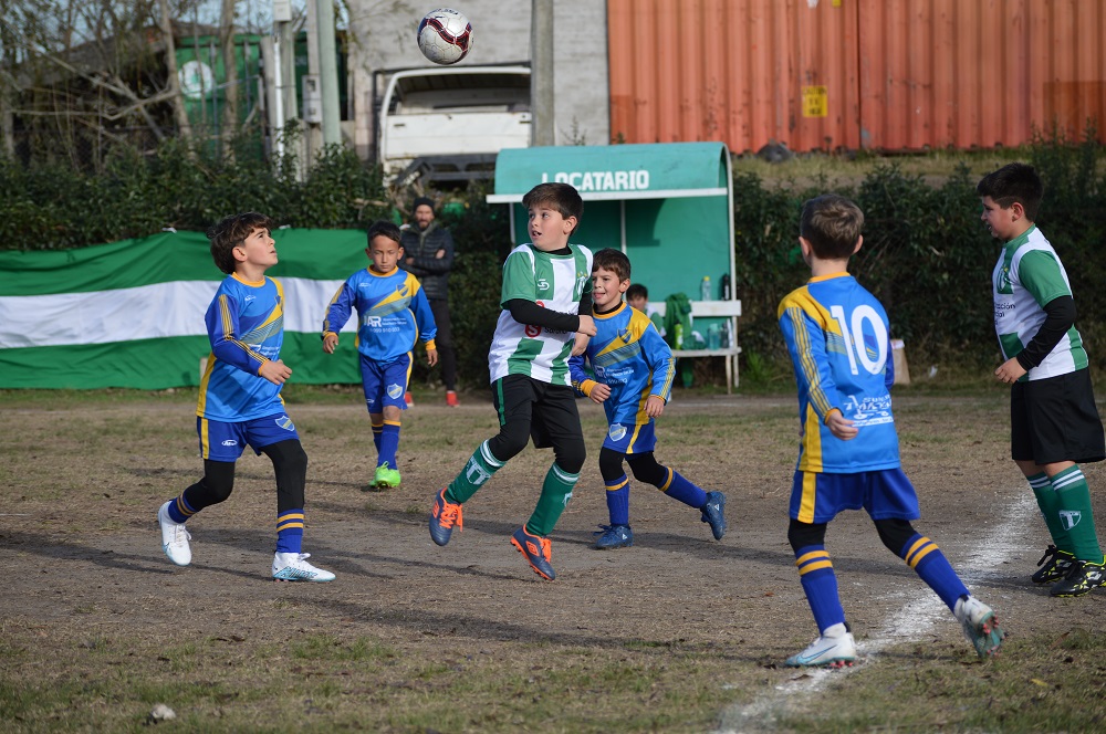 CLUB ATLETICO STOCKOLMO DE BABY FUTBOL: Fotogaleria de las categorias